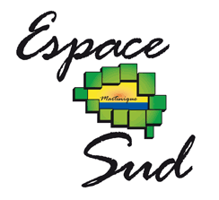 Logo Espace Sud Martinique