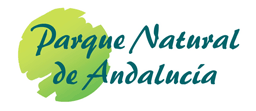 parque natural andalucia