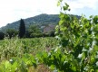 Chemin du Beausset au Castellet