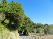 La vallée du silence