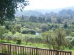 La Laguna de Valleseco