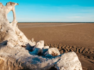 La magie d'une plage sauvage