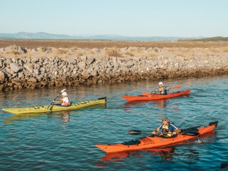 Naviguez en canoë le long des plages sauvages de Gruissan
