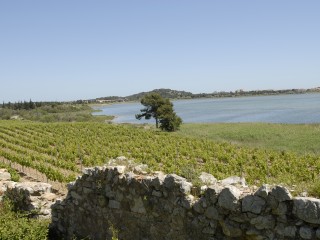 Foncaude