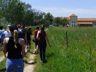 Une plongée dans le monde fascinant des marais du Grand Castelou