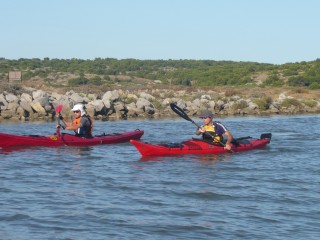 Testez le canoë en duo et partez en balade au cœur des étangs de Gruis