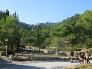 L'allée des naufragés