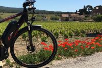 Balade en vélo électrique dans le vignoble