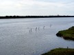 Río San Pedro
