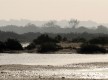 Río San Pedro