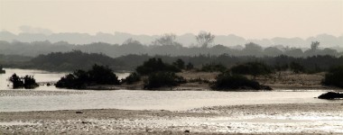 Playa de Levante - Parque de los Toruños