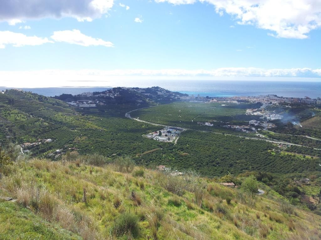 El trópico mediterráneo