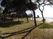 Dunas de San Antón