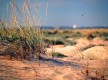 Dunas de San Antón