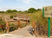 Parque Metropolitano Marisma de los Toruños y Pinar de la Algaida