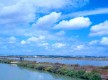 Parque Natural Bahía de Cádiz