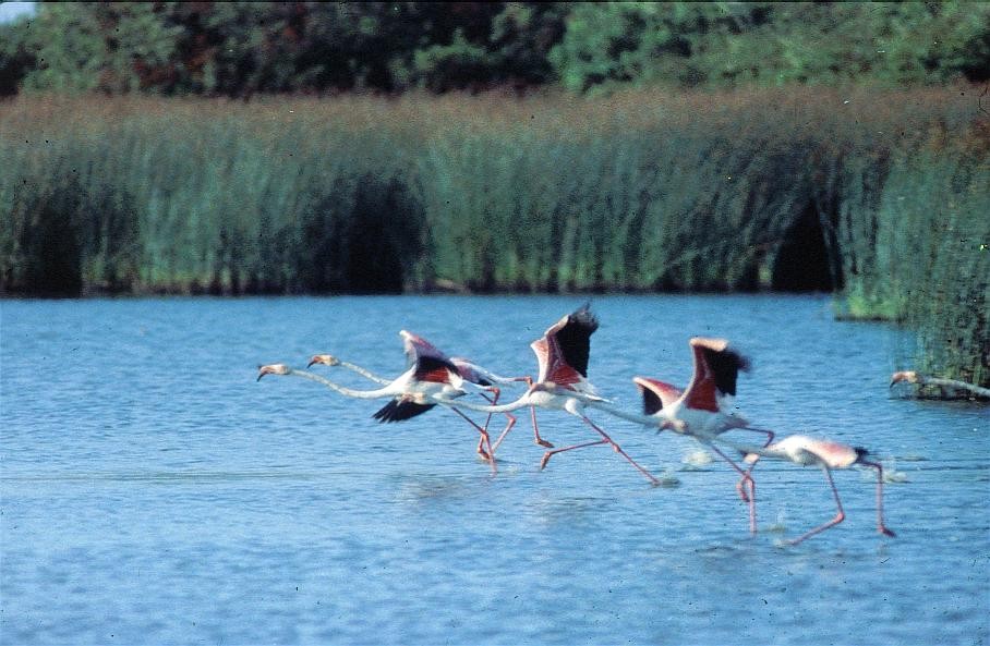 Parque Nacional
