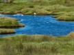 Suances