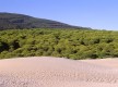 Playa de Bolonia
