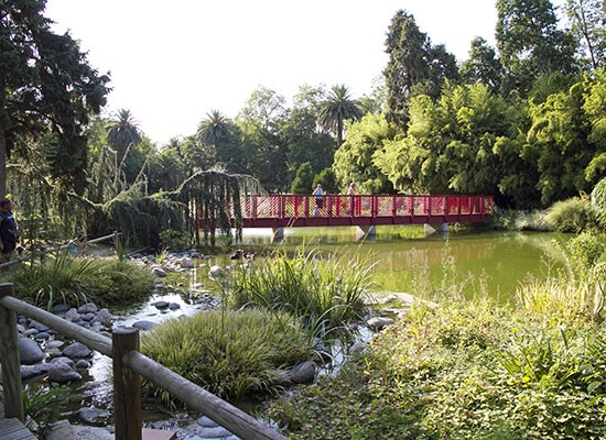 Le jardin des plantes - les Capellans