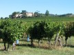 Iter Vitis - Les Chemins de la Vigne