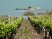 Iter Vitis - Les Chemins de la Vigne