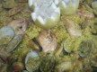 Jornadas gastronómicas del arroz de Suances: “Suances es Arroz”