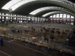 Mercado Nacional de Ganados “Jesús Collado Soto”