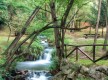 Parque La Viesca