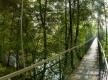 Parque La Viesca