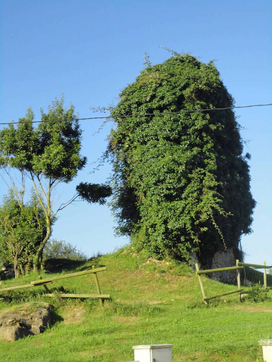 Torre mediaeval de Tagle