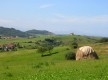 Camino de Santiago