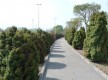 Boulevard Ronda