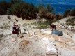 Ruinas Romanas de Tróia - Painel 4
