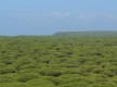 Parque Natural La Breña y Marismas del Barbate