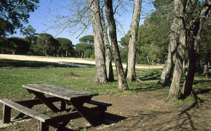 Área Recreativa El Jarillo
