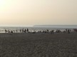 Playa de Zahara de los Atunes