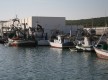 Puerto Pesquero de Barbate