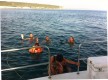 Trafalgar Charters