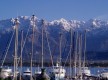 Port de plaisance de Calvi, Corse - cr