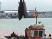 Barbate