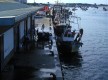 Ría de Punta Umbría