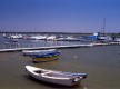 Puerto de El Terrón