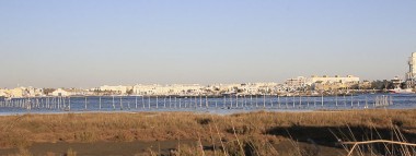 Marismas de Isla Cristina