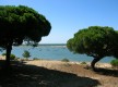 Pinares de Cartaya