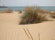 Paraje Natural de la Canaleta- Punta Umbría