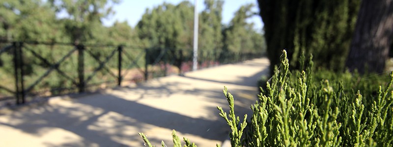 Paseo Fluvial San Felice Circeo