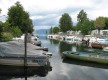 Bourget du Lac- Bras Mort de la Leysse
