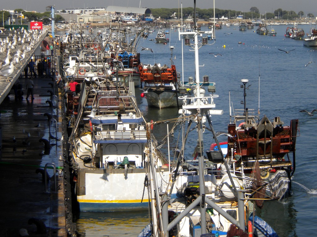 Puerto Pesquero de Punta Umbría (Ports de Pêche)