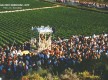 Romería de la Bella